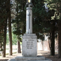 F 36T_200_200.png 