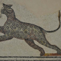 doporestautoparticolareleopardo_200_200.png 