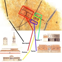 piantaipotesifaenzaromana_200_200.png 