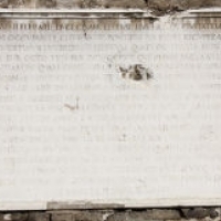 N03T_200_200.png 