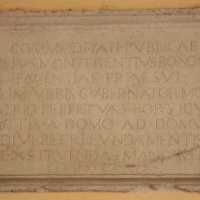N21T_200_200.png 